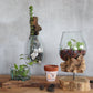 Molten Glass on Wood - Hanging Bowl - Pegasus Group UK